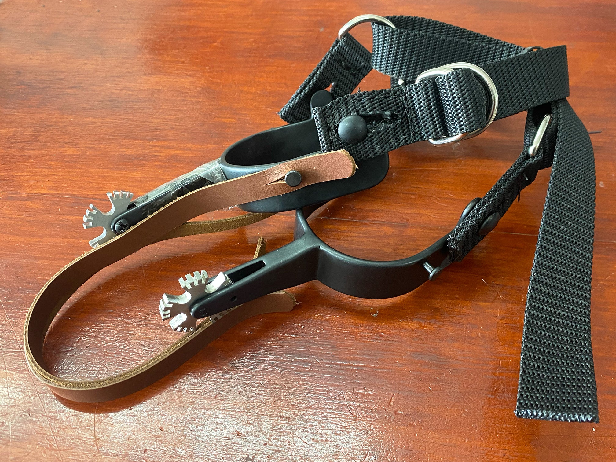 WDS Pro Rodeo Bull Riding Spur Rowels